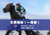 群雄会师文西锦标