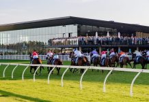 PERTH Race-by-Race Preview