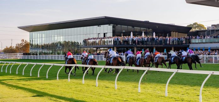 Morphettville1