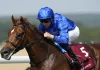 Stars Converge On York For Group 1 Seven Furlong Showdown
