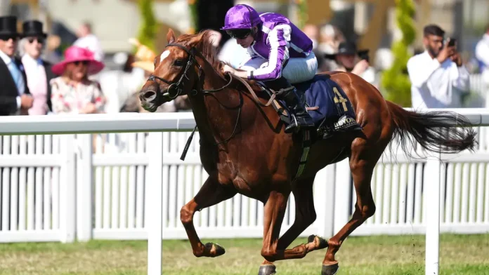 Precise horse1