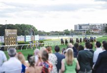 AUSTRALIA Race-by-Race Preview
