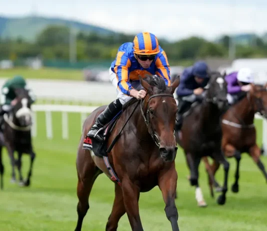 Prix Maurice de Gheest Preview