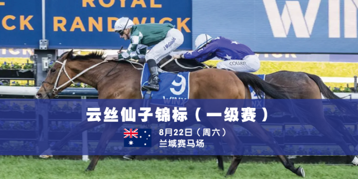 Winx Stakes for website news C
