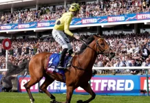 Unbeaten Superstar Bow Echo Retired Following Injury