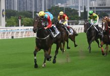 “嘉应高升”强势胜出试闸为新马季首战准备就绪