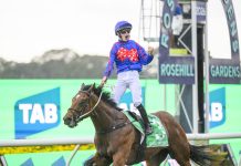 The Golden Rose, battle for Australia’s best three-year-old