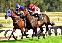 South African Racing Moves Towards Greater National Uniformity