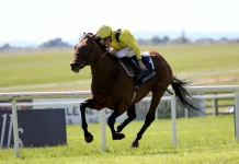 Walker praying for rain for Almaqam’s Champion Stakes assignment