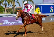 Bison Warrior to carry the flag