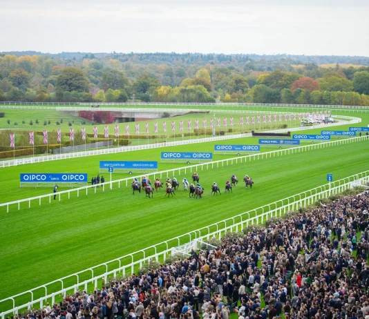 British Champions Day – What To Expect