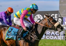 Trainer Vaughan Marshall runs CAPTAINS ALLIANCE in Race 7 – the RACE COAST INCENTIVES POWERED BY Hollywoodbets CLASS 4 at Hollywoodbets Durbanville on Wednesday 23 September 2026.