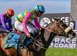 Trainer Vaughan Marshall runs CAPTAINS ALLIANCE in Race 7 – the RACE COAST INCENTIVES POWERED BY Hollywoodbets CLASS 4 at Hollywoodbets Durbanville on Wednesday 23 September 2026.