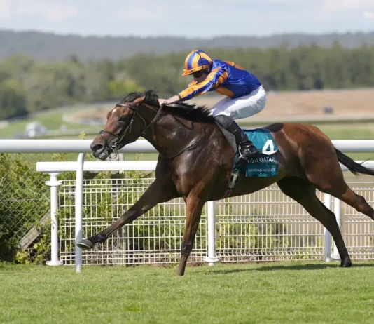 Diamond Necklace will lead Ballydoyle’s Arc challenge