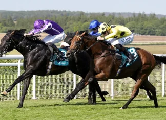 Group One Double Headlines Star-Studded Arc Trials Day