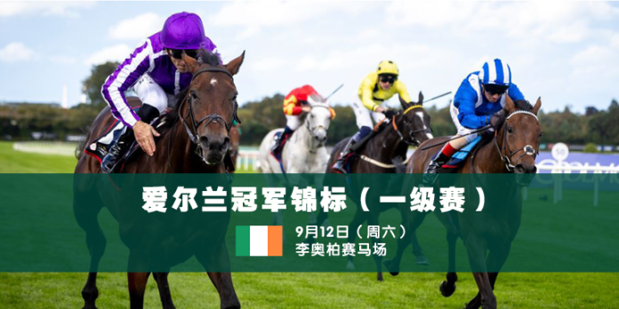 Irish Champion Stakes for website news C
