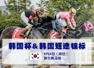 国际赛驹齐聚首尔争夺韩国杯及短途锦标