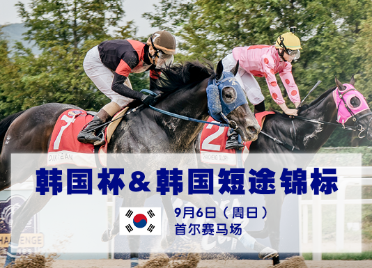 国际赛驹齐聚首尔争夺韩国杯及短途锦标