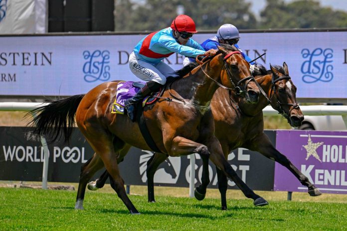 PINK-PIGEON-4912-2048x1272