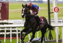 Scandinavia Test In Prix de Cadran Showdown