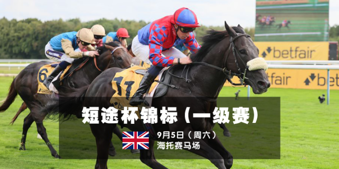 Sprint Cup Stakes for website news C