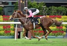 Beauty Waves well equipped for Sunday’s Korea Sprint, believes Tony Cruz