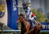 G3 Celebration Cup beckons for Invincible Ibis and Helios Express
