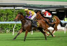 “极光之子”剑指三连胜