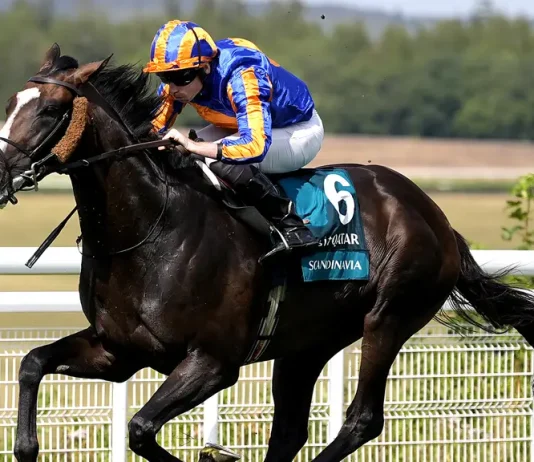 Scandinavia could be part of O’Brien’s Champions Day squad