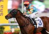 David Hall reaches 700-win milestone in Hong Kong