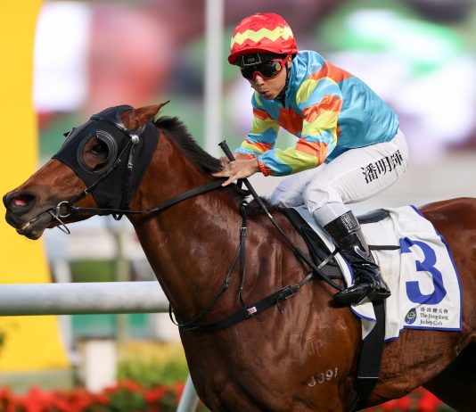 David Hall reaches 700-win milestone in Hong Kong