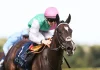 Blue Bolt bids to extend phenomenal 2026 in Sun Chariot
