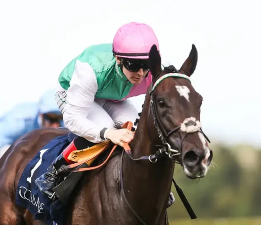 Blue Bolt bids to extend phenomenal 2026 in Sun Chariot