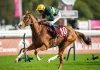 Consent Eyes Prix de Royallieu Repeat