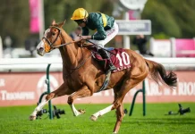 Consent Eyes Prix de Royallieu Repeat