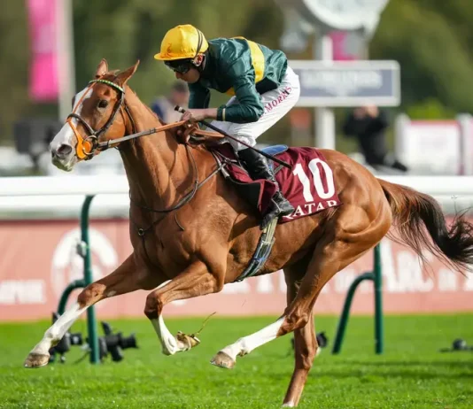 Consent Eyes Prix de Royallieu Repeat