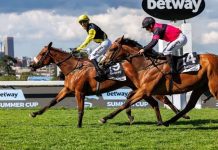 2026 Betway Summer Cup: Johannesburg’s Historic Racing Spectacle Returns to TAB Turffontein