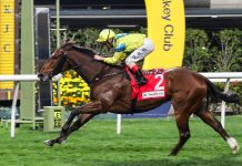 Class 2 return for Aurora Lady as Pierre Ng eyes more success at Happy Valley