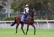 Ka Ying Rising the horse to beat despite rain and poor draw, according to Chris Waller